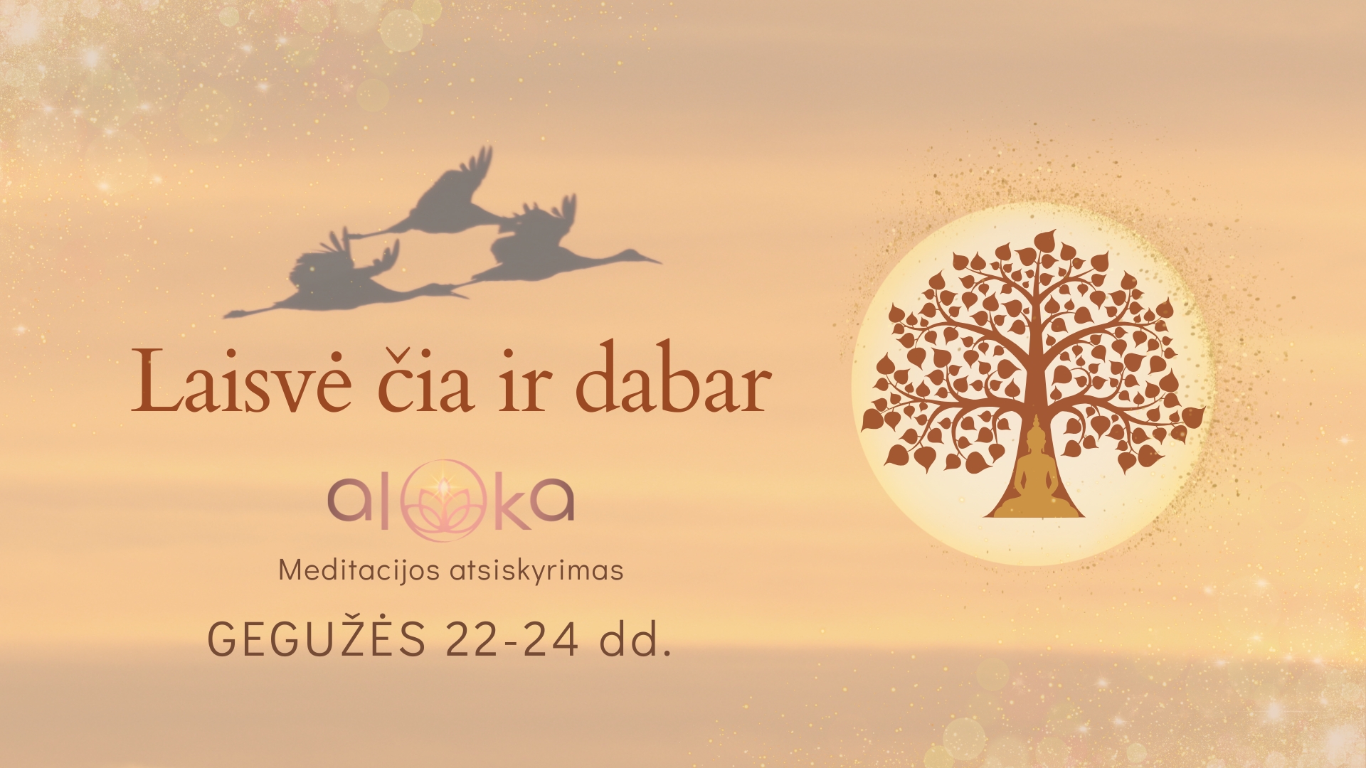 „Laisvė čia ir dabar” | Meditacijos atsiskyrimas 05.22-24